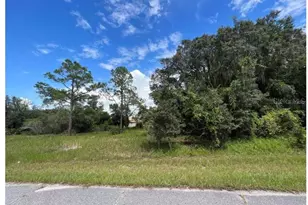 1336 Hillsborough Ct, Poinciana, FL 34759 - Photo 1