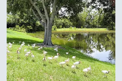 2705 Chatham Circle, Kissimmee, FL 34746 - Photo 29