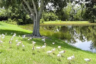 2705 Chatham Cir, Kissimmee, FL 34746 - Photo 29