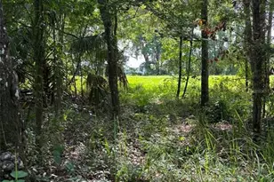 12168 Ponce De Leon Blvd, Brooksville, FL 34601 - Photo 1