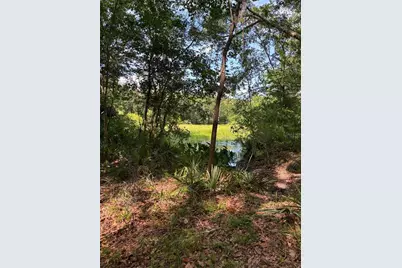 12168 Ponce De Leon Boulevard, Brooksville, FL 34601 - Photo 5