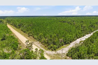 Lot 70 Maggie Jones Road Road, Eustis, FL 32736 - Photo 5