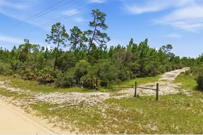 Lot 70 Maggie Jones Road Road, Eustis, FL 32736 - Photo 3