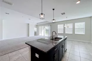 10952 Longleaf Woods Dr, Orlando, FL 32832 - Photo 17