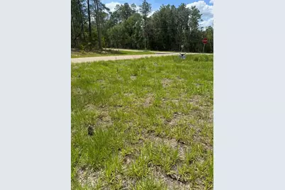 11183 N Vesta Point, Citrus Springs, FL 34434 - Photo 29