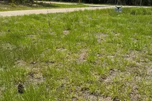 11183 N Vesta Point, Citrus Springs, FL 34434 - Photo 29