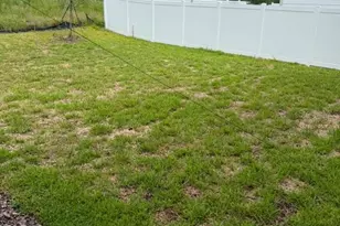 17658 Japonica Bloom Dr, Winter Garden, FL 34787 - Photo 39