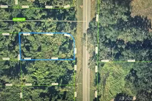 242 Highlands Lake Dr, Lake Placid, FL 33852 - Photo 1