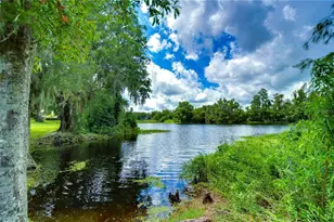 6803 Lockington Ct, Tampa, FL 33625 - Photo 43