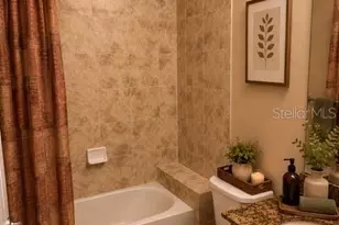 6803 Lockington Ct, Tampa, FL 33625 - Photo 35