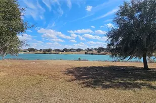 23705 Milford Dr, Eustis, FL 32736 - Photo 19