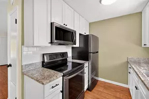 1125 N Tremain St, Mount Dora, FL 32757 - Photo 11