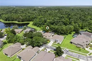 10109 Marsh Pine Cir, Orlando, FL 32832 - Photo 41