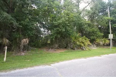 274 Toms Road, Debary, FL 32713 - Photo 7