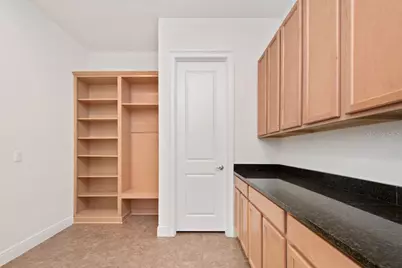 17538 Black Rail Street, Windermere, FL 34786 - Photo 11