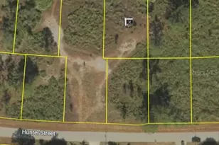 1036 Pilgrim St E, Lehigh Acres, FL 33974 - Photo 1