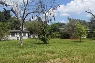 4916 Eli St, Orlando, FL 32804 - Photo 3