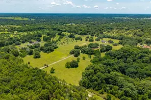 21341 Horse Ranch Rd, Mount Dora, FL 32757 - Photo 11
