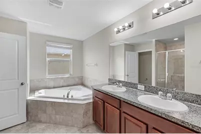 21087 Pleasant Plains Parkway, Land O Lakes, FL 34637 - Photo 15