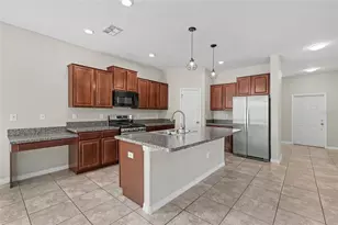 21087 Pleasant Plains Pkwy, Land O Lakes, FL 34637 - Photo 11