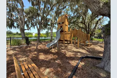 11419 Harborview Street, Orlando, FL 32832 - Photo 17