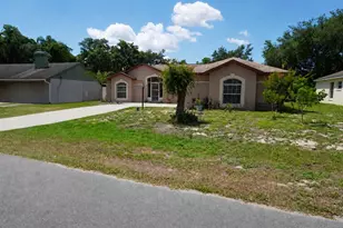 11130 Fountain Lake Blvd, Leesburg, FL 34788 - Photo 3