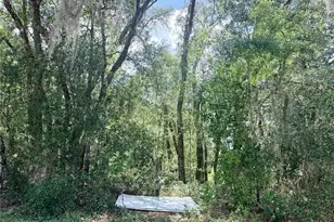 7932 N Elkcam Blvd, Citrus Springs, FL 34433 - Photo 1