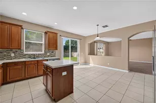223 Largovista Dr, Oakland, FL 34787 - Photo 11