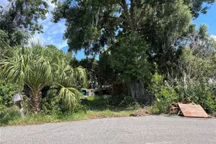 2979 S Grove St, Eustis, FL 32726 - Photo 3