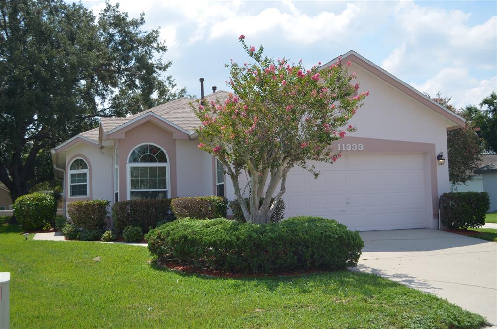 11333 Pink Blossom Ct - 11333 Pink Blossom Ct, Orlando, FL 32821 Luxury Property | Jose Angel Pina