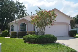 11333 Pink Blossom Ct, Orlando, FL 32821 - Photo 1