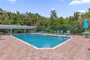 11333 Pink Blossom Ct, Orlando, FL 32821 - Photo 45