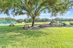 3215 Summer Cruise Dr, Valrico, FL 33594 - Photo 47