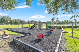 3215 Summer Cruise Dr, Valrico, FL 33594 - Photo 49