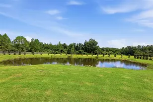 13525 Palm Dr, Astatula, FL 34705 - Photo 67
