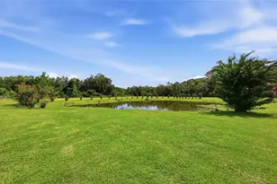 13525 Palm Dr, Astatula, FL 34705 - Photo 63