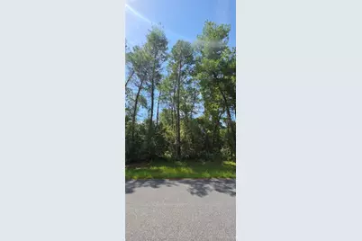 0 SW 151 Place, Ocala, FL 34473 - Photo 5