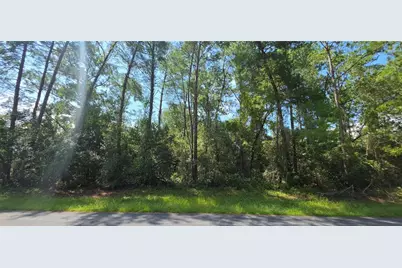 0 SW 151 Place, Ocala, FL 34473 - Photo 9