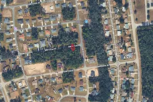 0 SW 151 Pl, Ocala, FL 34473 - Photo 1