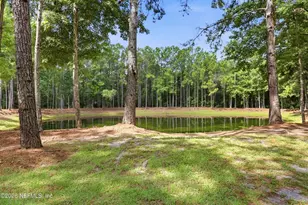3260 County Rd 209, Green Cove Springs, FL 32043 - Photo 83