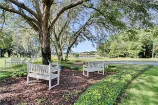 32516 Hawks Lake Ln, Sorrento, FL 32776 - Photo 59