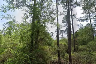 126 and 128 Grandale St, Georgetown, FL 32139 - Photo 1