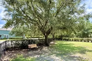 10378 Lake District Ln, Orlando, FL 32832 - Photo 33