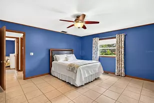 10848 N Dragonis Dr, Dunnellon, FL 34433 - Photo 31