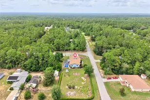 10848 N Dragonis Dr, Dunnellon, FL 34433 - Photo 39