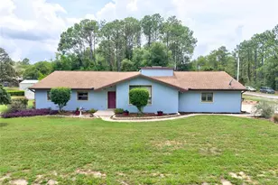 10848 N Dragonis Dr, Dunnellon, FL 34433 - Photo 3