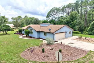 10848 N Dragonis Dr, Dunnellon, FL 34433 - Photo 1