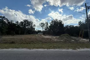 26 Fisher Way Trail, Ocklawaha, FL 32179 - Photo 1