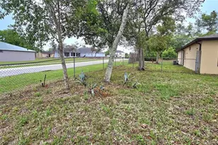 2729 Sweet Springs St, Deltona, FL 32738 - Photo 3