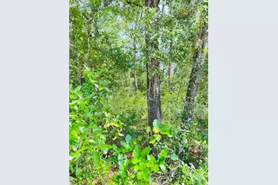 3560 E Bellshire Place, Inverness, FL 34453 - Photo 9